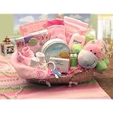 Our Precious Baby Girl Basket - Unique Shower Gift... by ArtofAppreciation