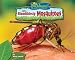 Book Bloodthirsty Mosquitoes (No Backbone! the World of Invertebrates)
