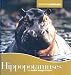 Hippopotamuses (Animals Animals)