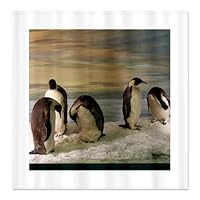 Penguins Shower Curtain by CafePress - White