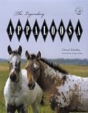 The Legendary Appaloosa