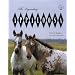 The Legendary Appaloosa