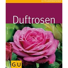 Duftrosen (Pflanzenratgeber)