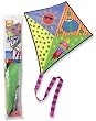 Alex Toys Go Paint a Kite