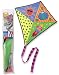 Alex Toys Go Paint a Kite
