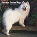 American Eskimo Dogs 2008 Calendar