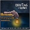 Underwater Sunshine (or What We Did on Our Summer Vacation)