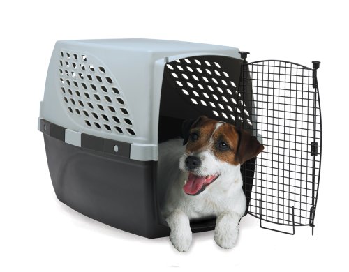 Childrens Toyshop  Pet Supplies : Firstrax 26-Inch Pet Suites Multi-Use Pet Kennel