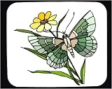 Mouse Pad with insect, butterfly