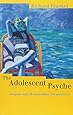 The Adolescent Psyche: Jungian and Winnicottian Perspectives (Routledge Studies in Business)