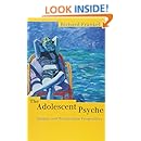 The Adolescent Psyche: Jungian and Winnicottian Perspectives (Routledge Studies in Business)