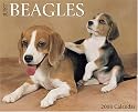 Just Beagles (Just)