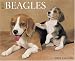 Just Beagles 2008 Calendar (Just)