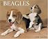 Just Beagles (Just)