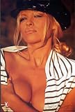 Pam Anderson - Stripes - 24x36 - ART PRINT / POSTER