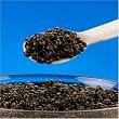 Royal Caviar 3.5 oz - Siberian Farmed Osetra