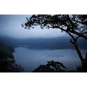 Chimpanzés [Blu-ray]