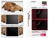 Nintendo DSi XL Decal Skin - Animal Sleeping Puppy