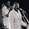 Image of Muddy Waters