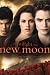 The Twilight Saga: New Moon