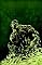 Roots of the Swamp Thing (DC Comics Classics Library)