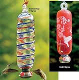 Filigree Hummingbird