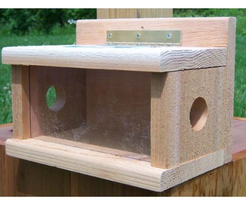 Post Mount Bluebird Feeder Pre-Drilled Hole