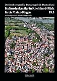 Produkt-Bild: Kulturdenkm&auml;ler in Rheinland-Pfalz, Bd.18/3 : Kreis Mainz-Bingen