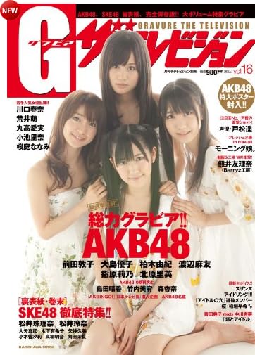 G(グラビア)ザテレビジョン vol.16  カドカワムック