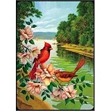 Red Birds Deck Bridge Playing Cards