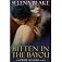 Bitten in the Bayou (Stormy Weather)