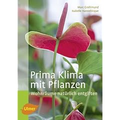 Prima Klima mit Pflanzen - Wohnräume natürlich entgiften