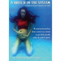 A Breech in the System