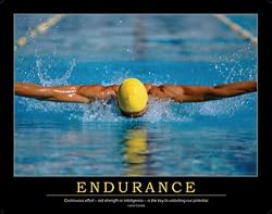 Endurance, Kaizen, Liane Cardes (Poster)