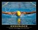 Endurance, Kaizen, Liane Cardes (Poster)