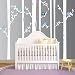 Nursery Birch Tree Wall Decal Set With Owl Birds Forest Vinyl Sticker, Birch Tree Wall Decal, Birch Tree Decal Baby Boy Whimsical Owls (7 trees) #1321 (108