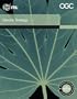Service Strategy Book (Itil)