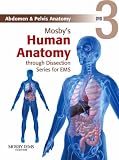 Abdomen & Pelvis Anatomy