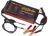 充電可能バッテリー再生機レディパルスチャージャー3232の画像