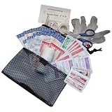 Buy AAA 80 Piece Pit Stop First Aid Kit