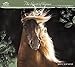 The Spirit of Horses 2016 Calendar