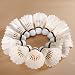 12 Pcs Training Goose Feather Shuttlecock Birdies Badminton Ball Game Sport