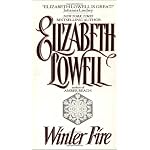 Winter Fire book cover