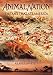 Animal Nation - The Ant That Ate America [DVD]