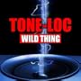 Wild Thing (Re-Recorded / Remastered)