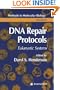 DNA Repair Protocols (Methods in Molecular Biology)