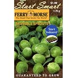 Ferry-Morse Seeds 2031 Brussels Sprouts - Catskill 1.7 Gram Packet by Ferry-morse