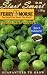 Ferry-Morse Seeds 2031 Brussels Sprouts - Catskill 1.7 Gram Packet