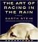 The Art of Racing in the Rain