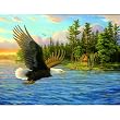 Summer Domain 500pc Jigsaw Puzzle by Mary Pettis